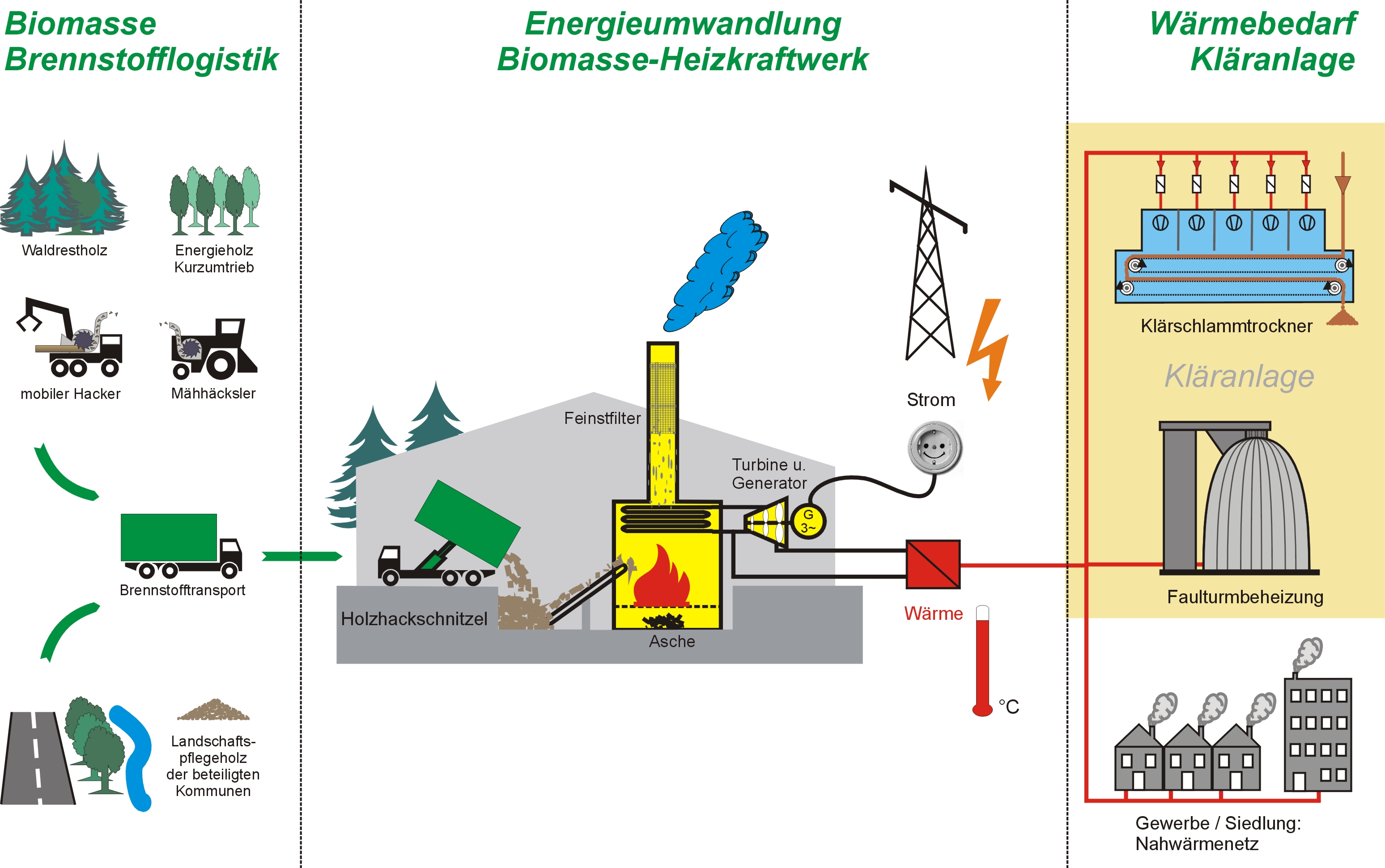 Grafische Aufbereitung des Gesamtprojekts: Durch Energieumwandlung entsteht aus Biomasse Wärme und Strom